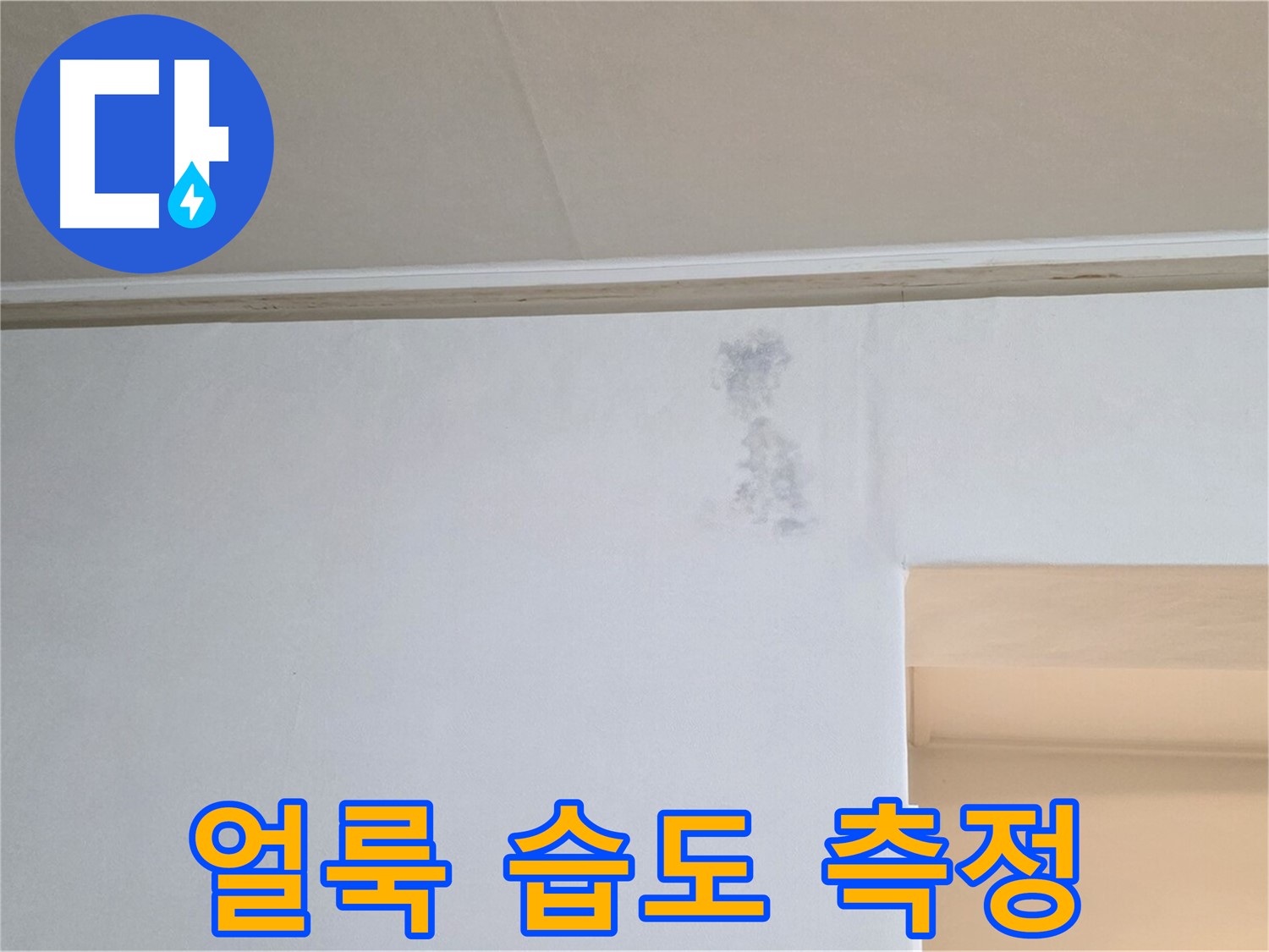벽 얼룩 습도 측정 - 누수 여부 진단