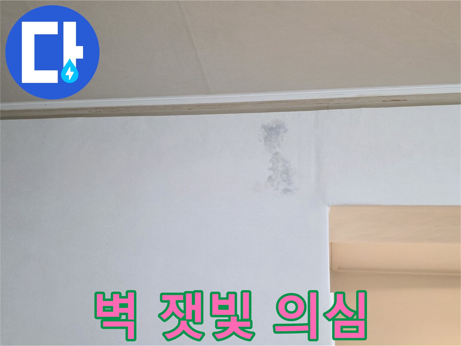 벽 잿빛 그림자 - 곰팡이 속삭임 & 누수 초기 의심