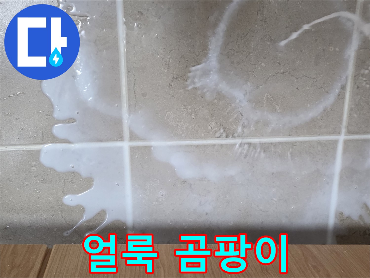 싱크대 밑 - 물 얼룩 확인 - 배수구 누수 의심 - 곰팡이 조심