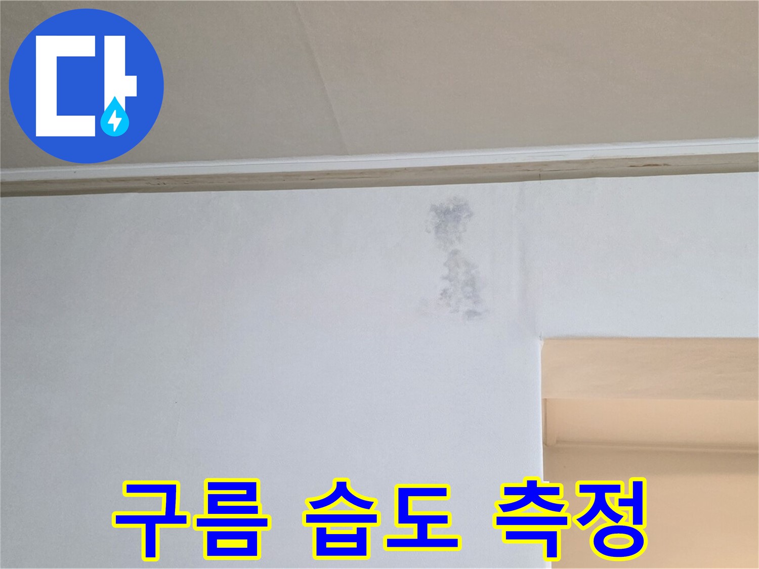 얼룩 구름 습도 측정 - 누수 & 결로 정밀 검사