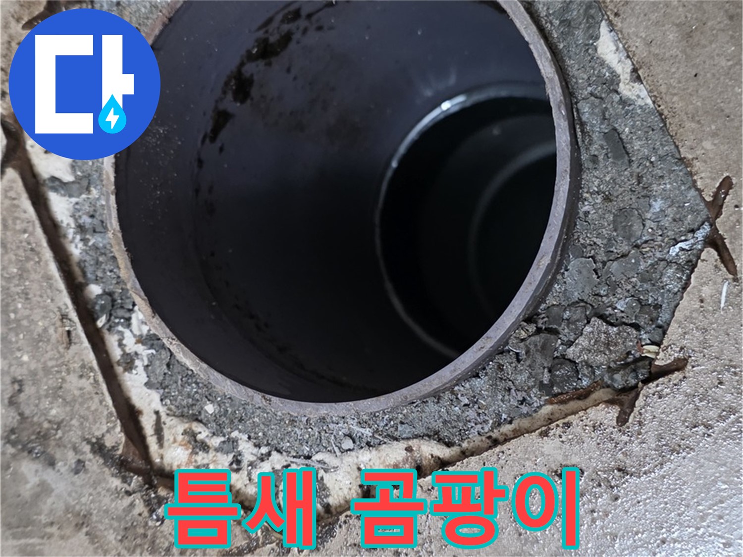 욕실 하수구 배관 주변 틈새 - 곰팡이 발생, 누수 의심