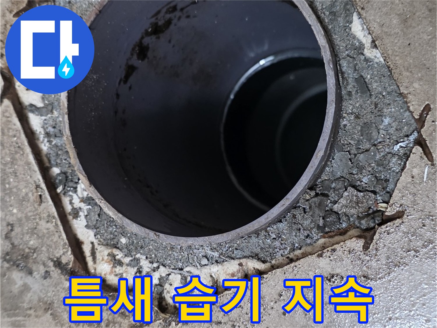 욕실 하수구 배관 주변 틈새 - 습기 지속, 누수 의심