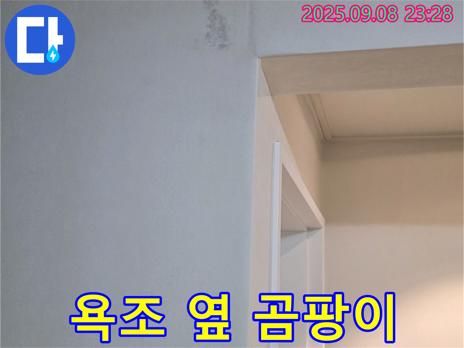 욕조 옆 곰팡이 - 친환경 약품 사용