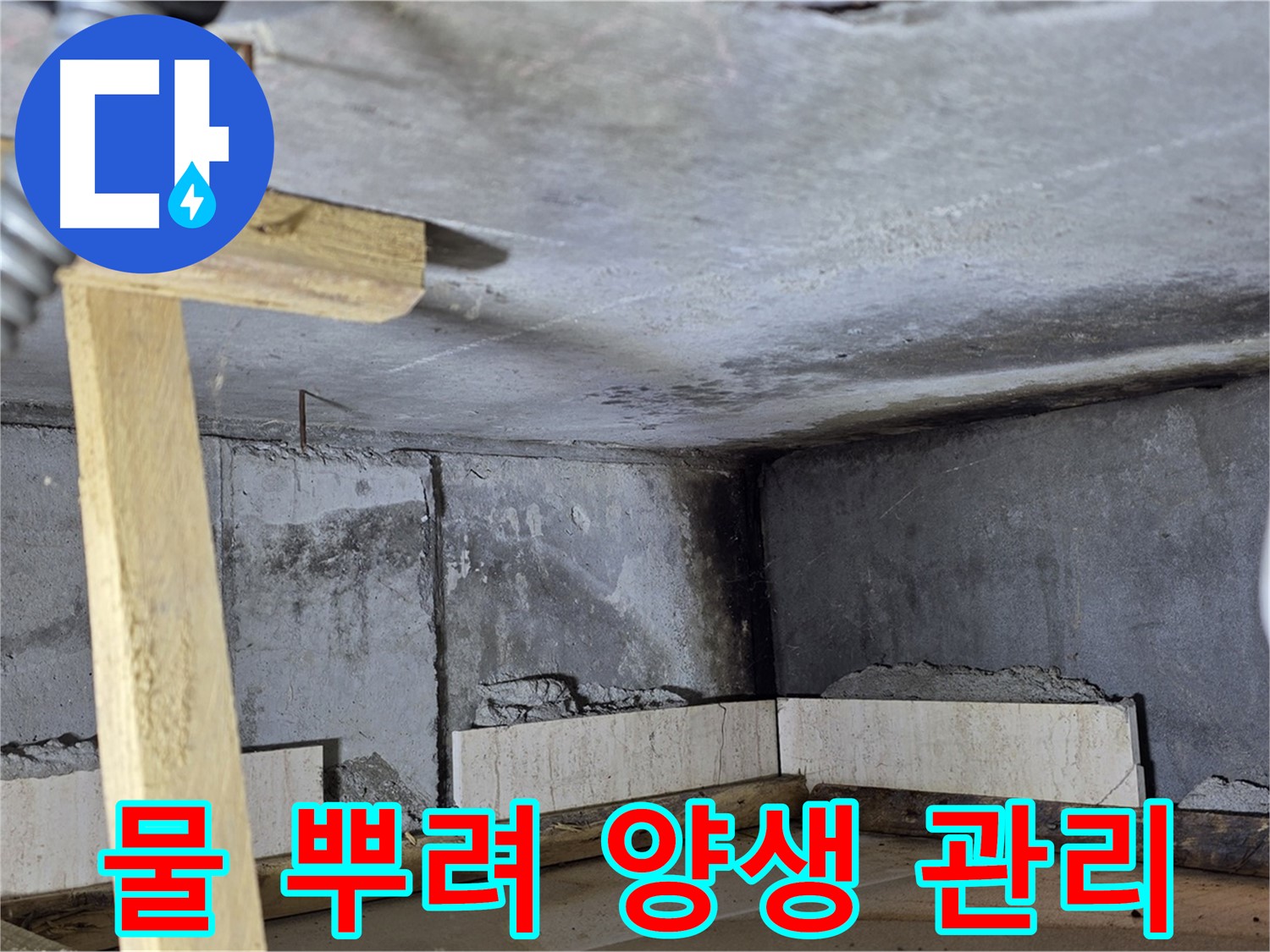 욕조 조적 시멘트 양생 - 물 뿌려 꼼꼼하게 관리