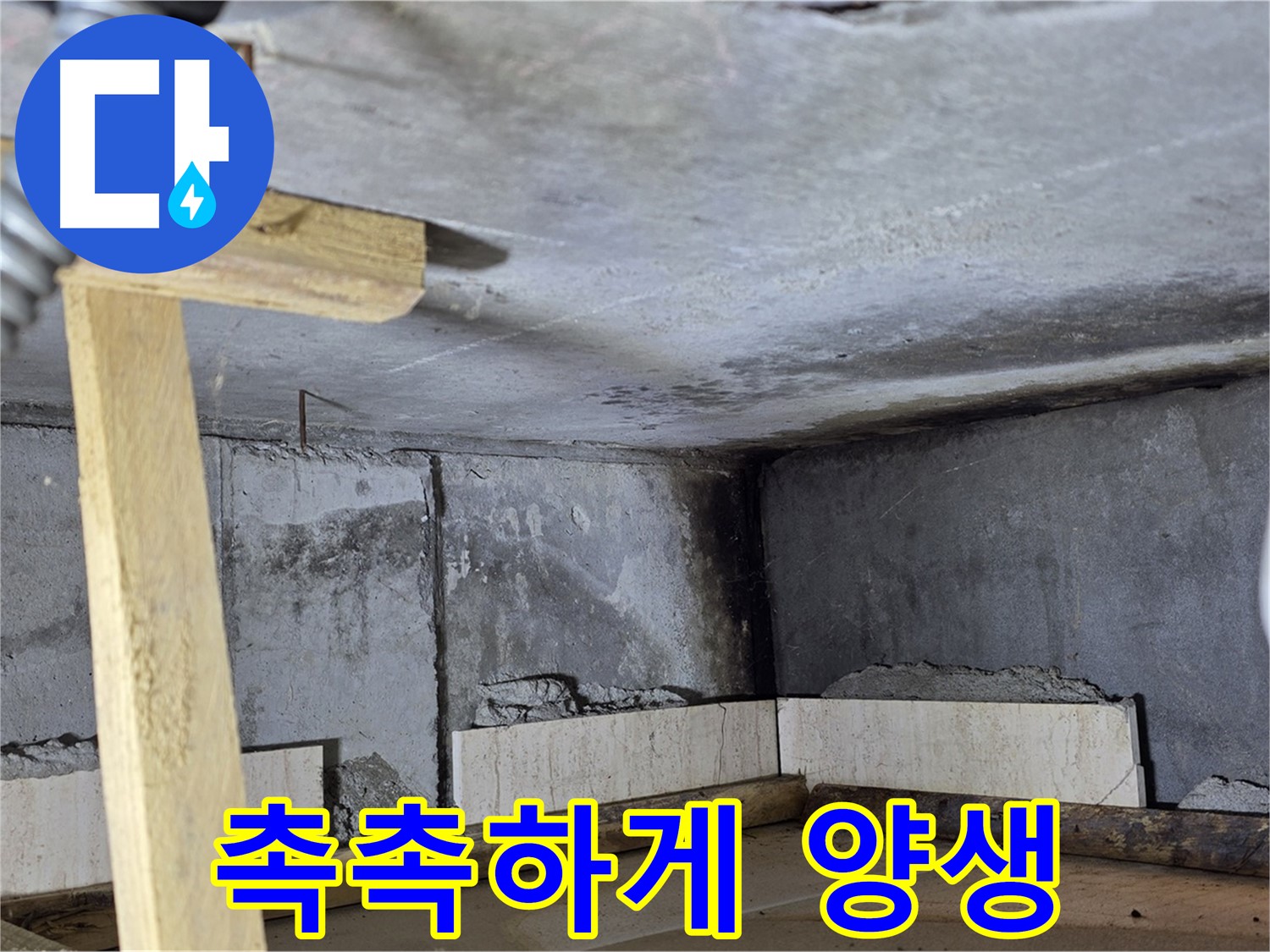 욕조 조적 시멘트 양생 - 촉촉하게 습도 유지하며 굳히기