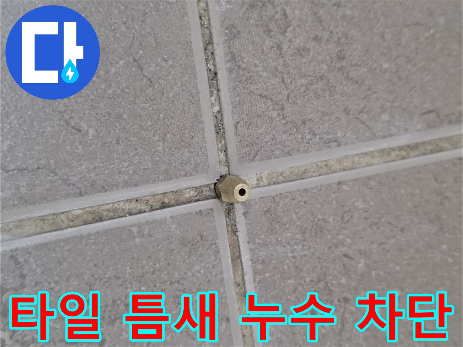 일동 아파트 타일 틈새 누수 - 완벽 차단 공사 현장