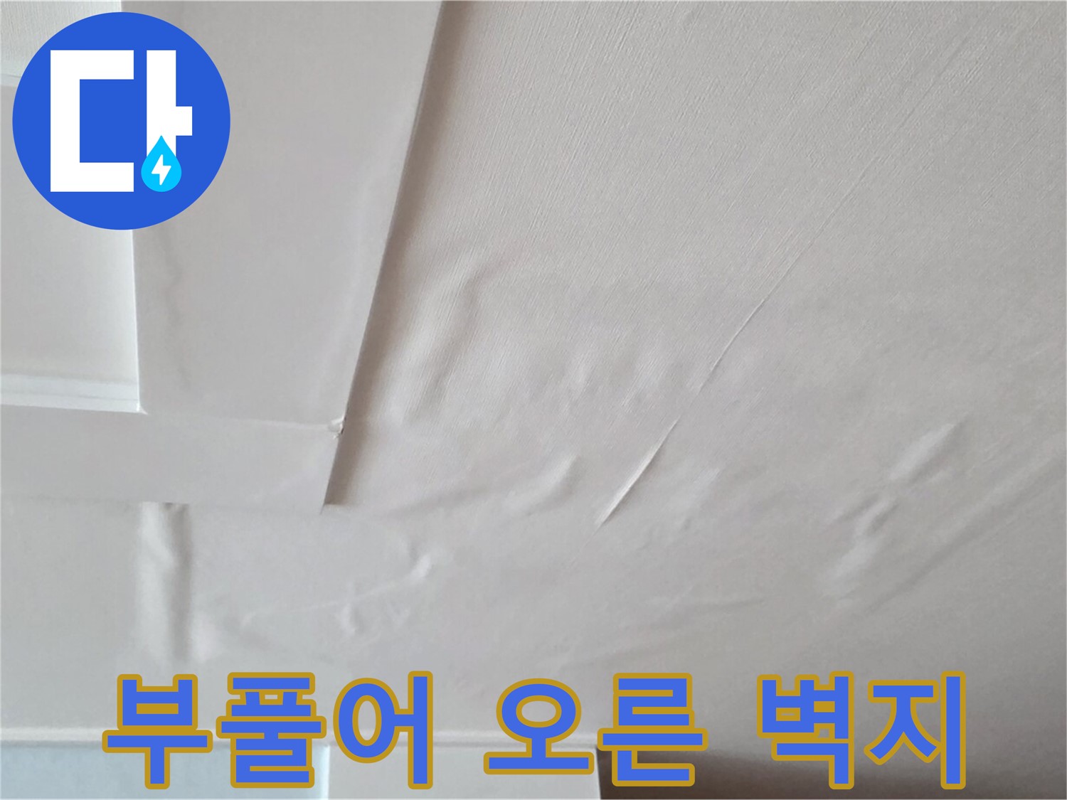 일동기산베스트빌 아파트 천장 누수 - 부풀어 오른 벽지와 곰팡이 독성 - 소화 불량 유발