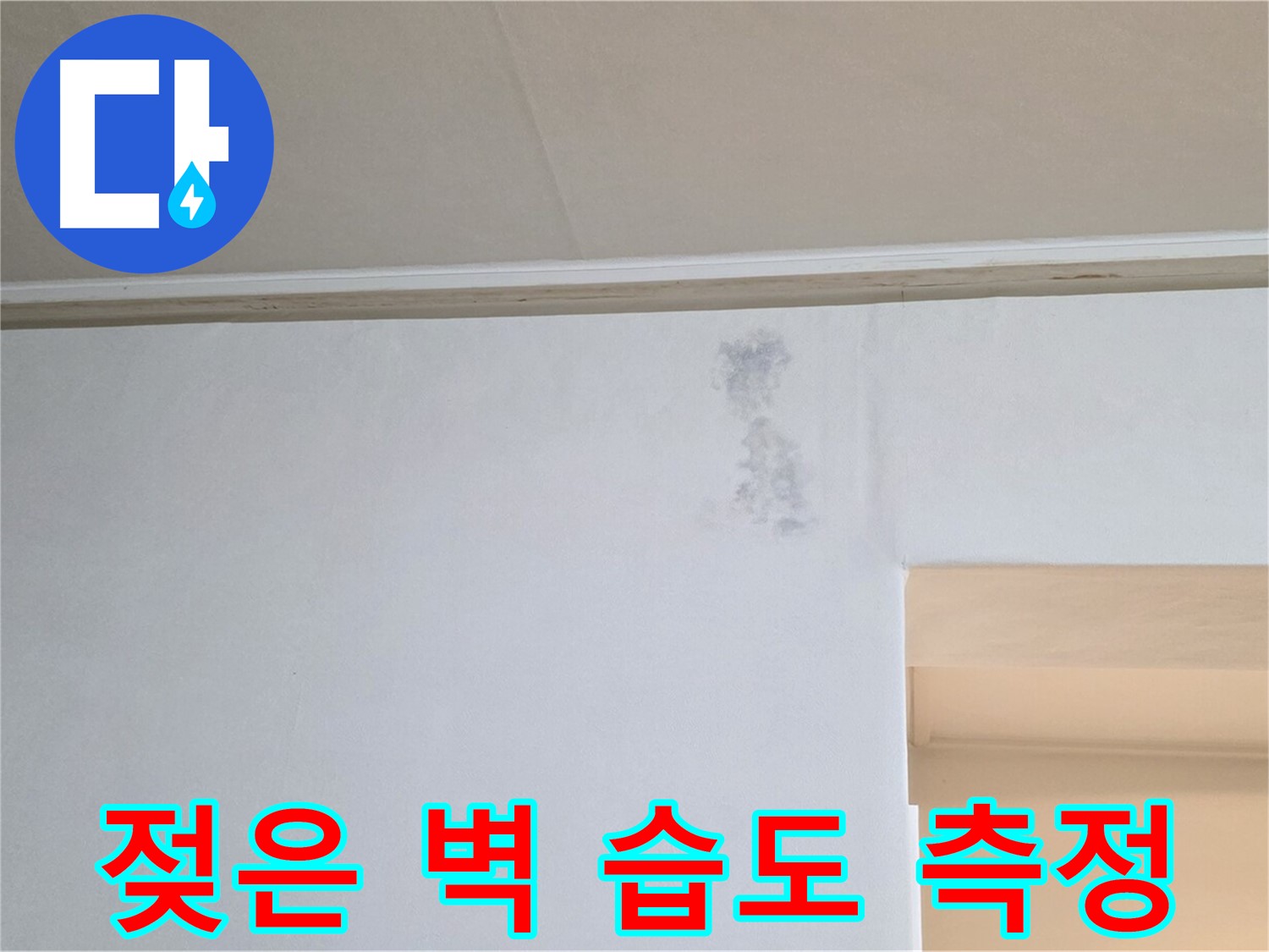 젖은 벽 습도 측정 - 곰팡이 or 누수 진단