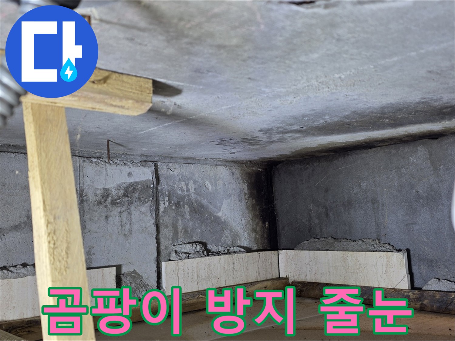 줄눈 시공 - 곰팡이 방지 줄눈 사용