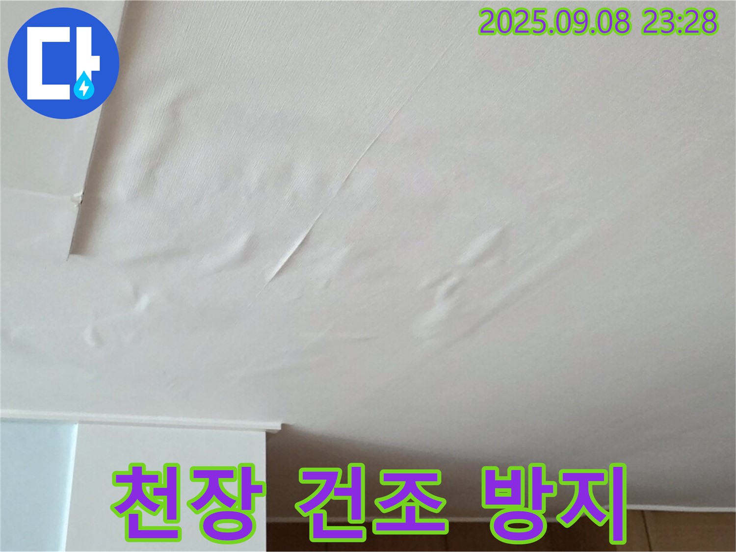 천장 누수 탐지 - 젖은 천장 긴급 건조 및 곰팡이 방지 시공