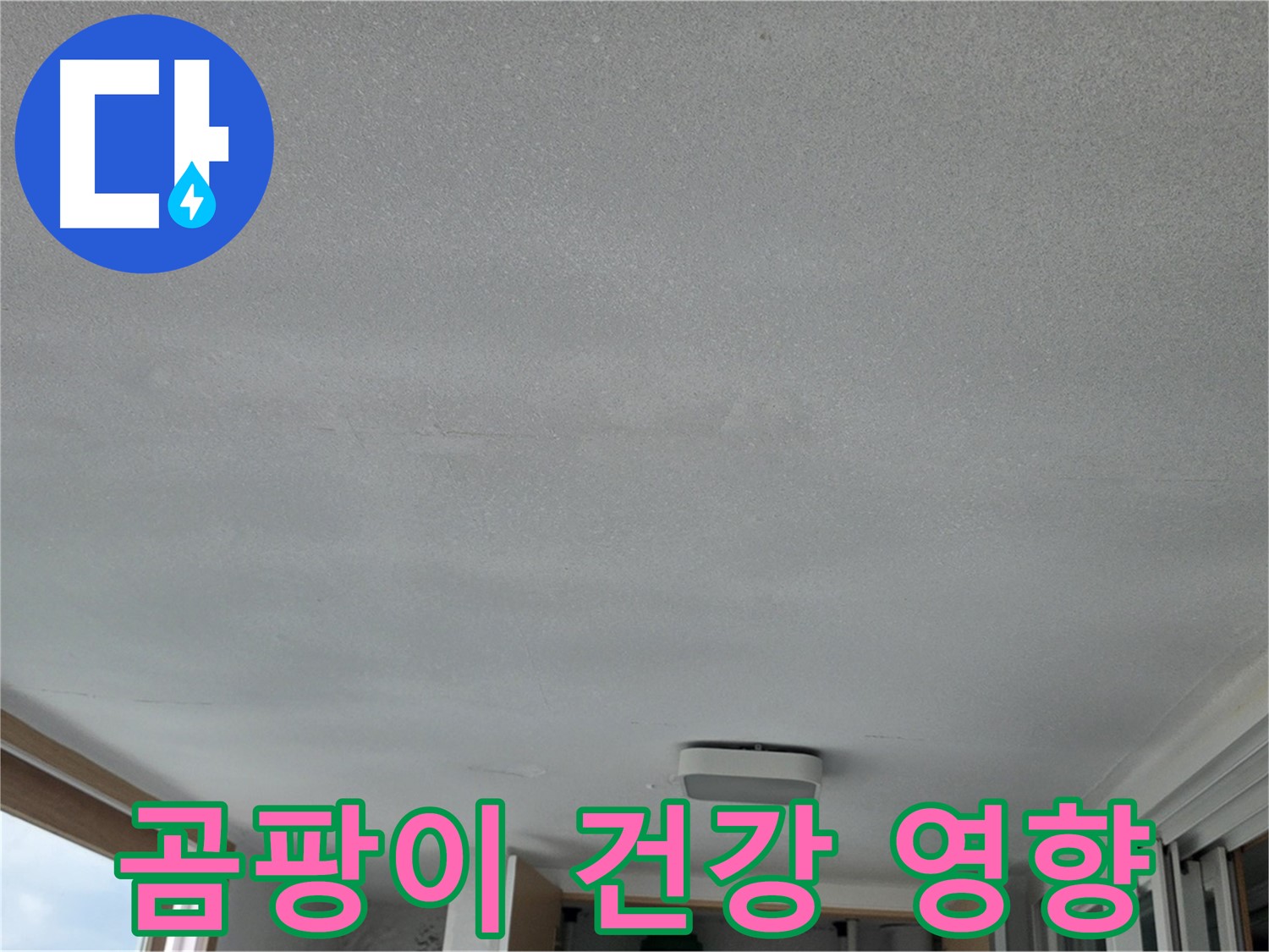 포천 일동 기산베스트빌 베란다 곰팡이 - 건강 영향 및 제거
