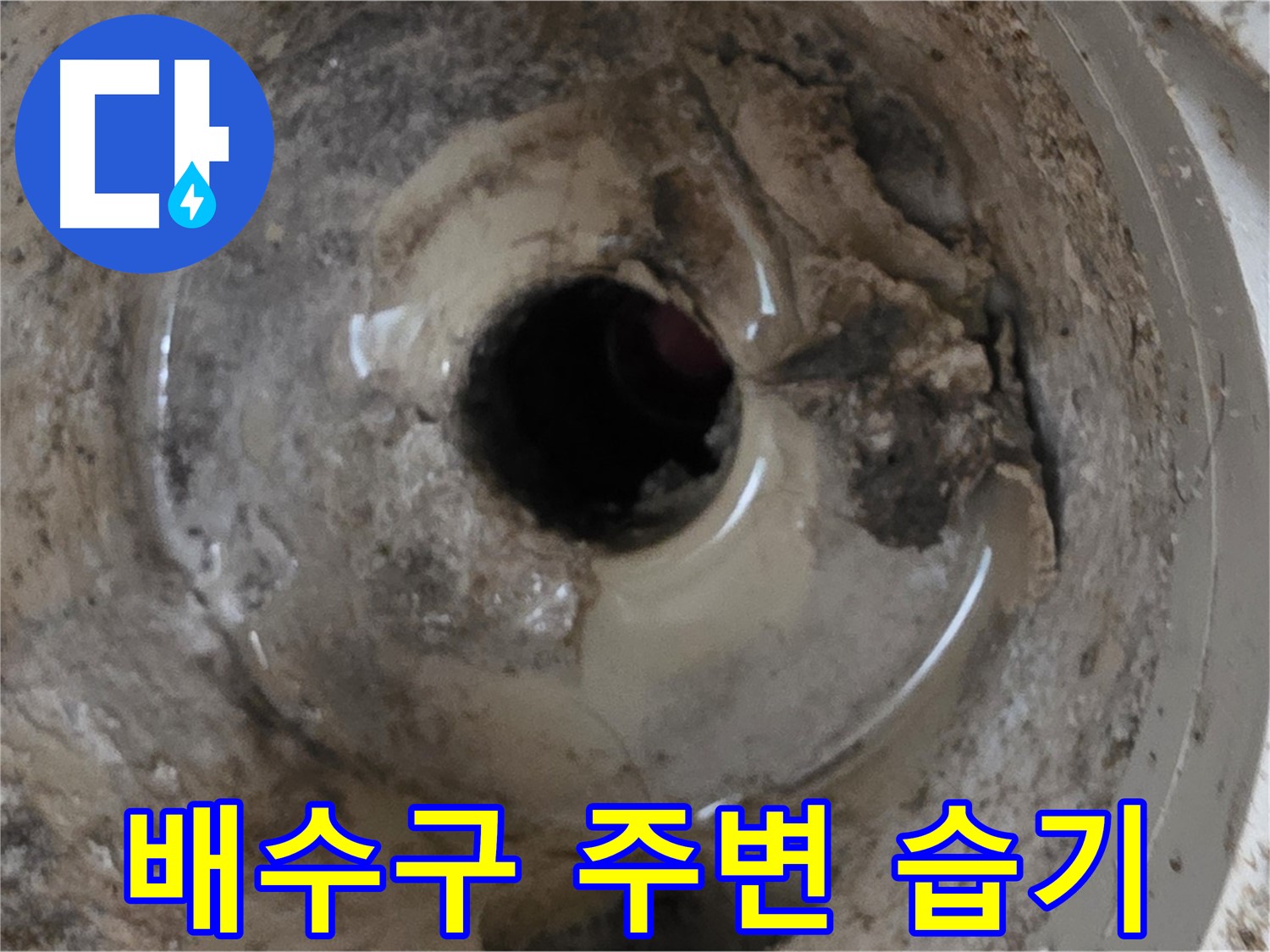 포천 일동 기산베스트빌 아파트 - 베란다 배수구 주변 습기, 누수 가능성 진단