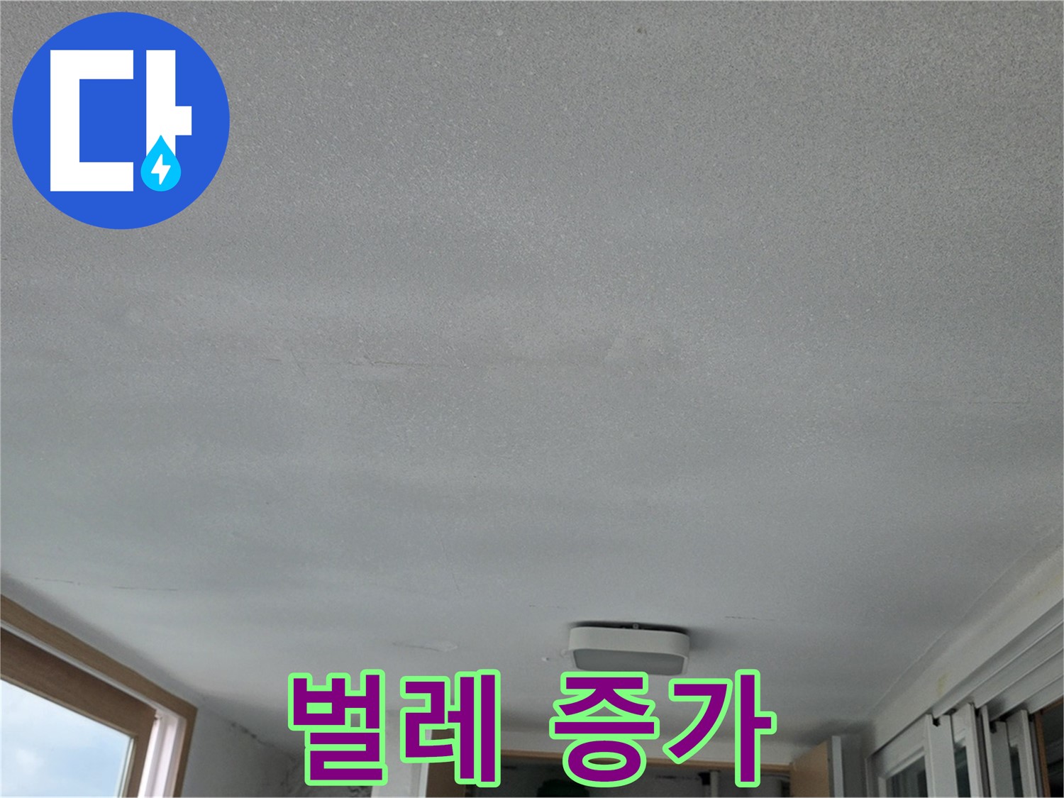 포천 일동 누수 - 누수 때문에 벌레 득실득실