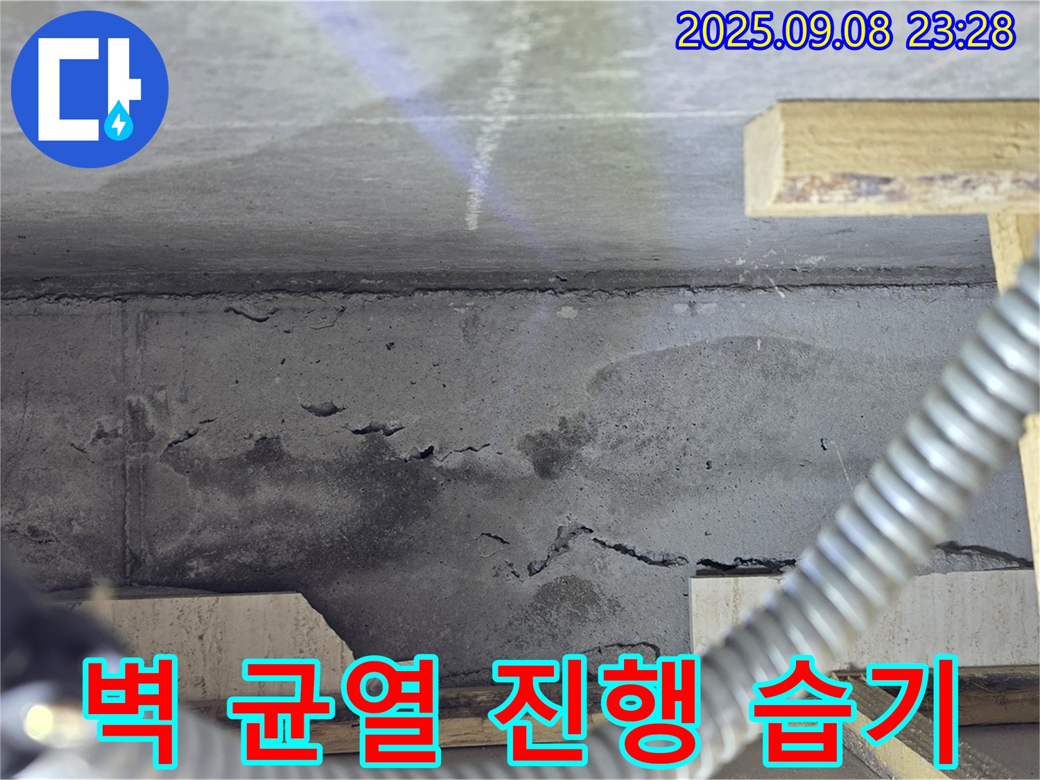 포천 일동 아파트 누수 - 콘크리트 벽, 진행성 균열과 습기, 건물 손상 우려