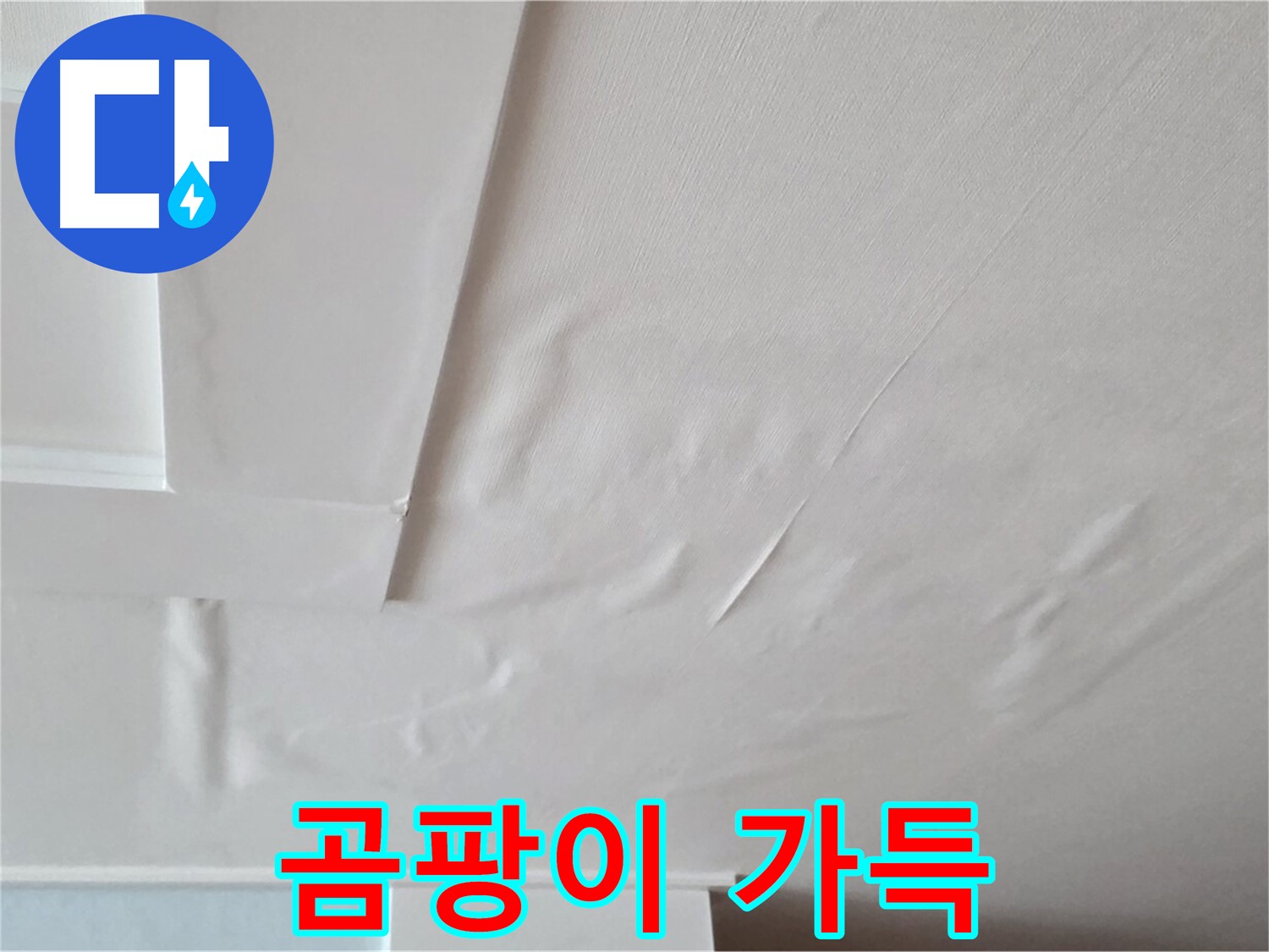 포천 일동 아파트 천장 누수 - 곰팡이 가득한 집 - 이사 고민