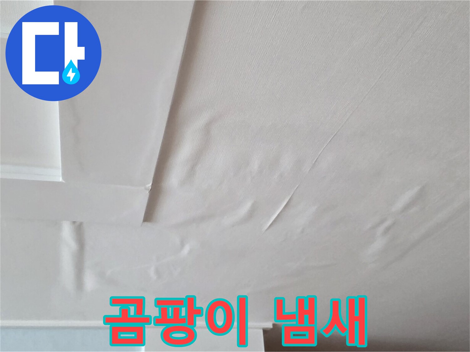 포천 일동 아파트 천장 누수 - 곰팡이 냄새 발생