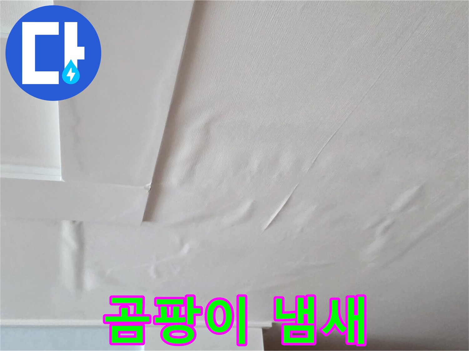 포천 일동 아파트 천장 누수 - 곰팡이 냄새 - 우울증 유발 - 정신 건강 악화
