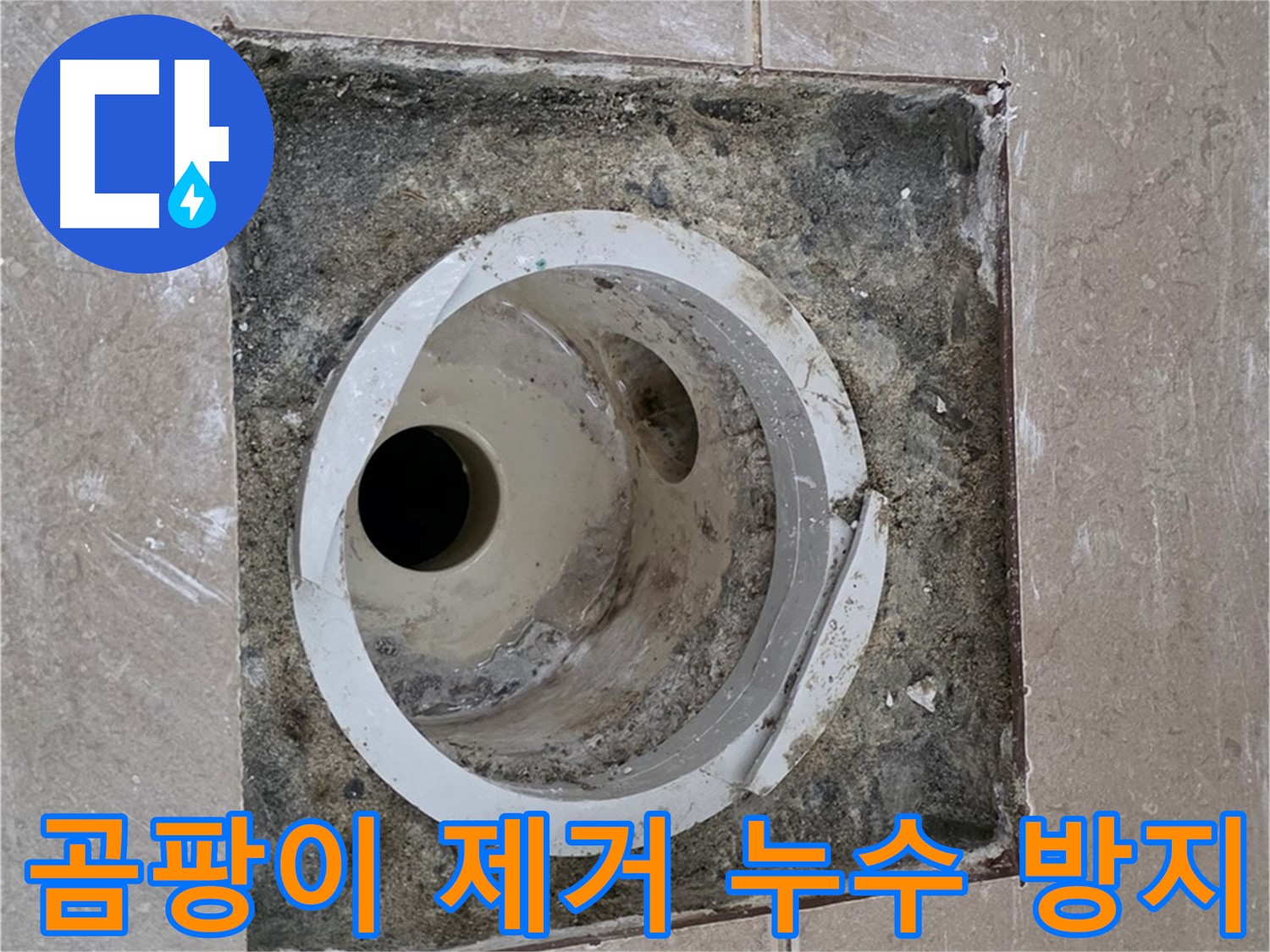 포천 일동 아파트 화장실 배수구 누수 - 곰팡이 제거 및 누수 방지 시공으로 쾌적한 환경 조성