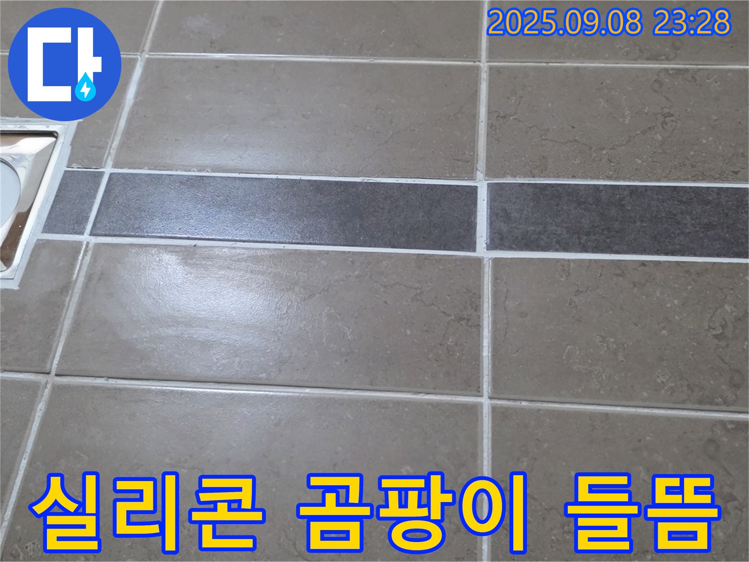 포천 일동 - 욕실 배수구 주변 실리콘 곰팡이 및 들뜸, 꼼꼼하게 재시공!