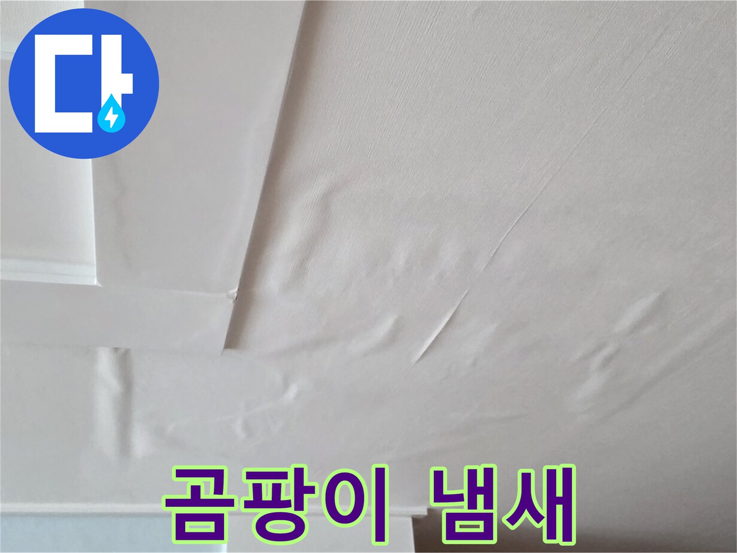 포천 일동 천장 누수 - 곰팡이 냄새와 건강 위협