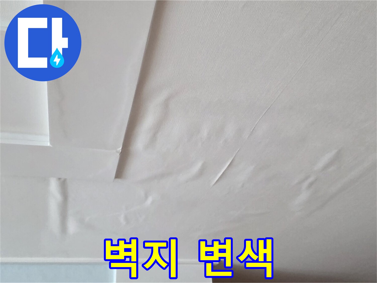 포천 일동 천장 누수 - 벽지 변색과 곰팡이 발생