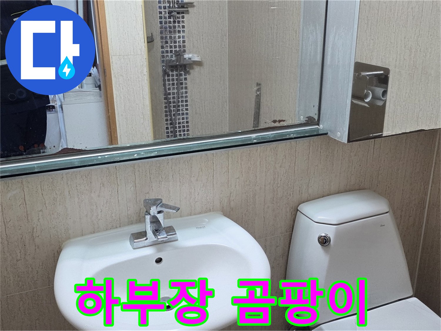 포천 일동 하부장 곰팡이 - 원인 진단 및 해결