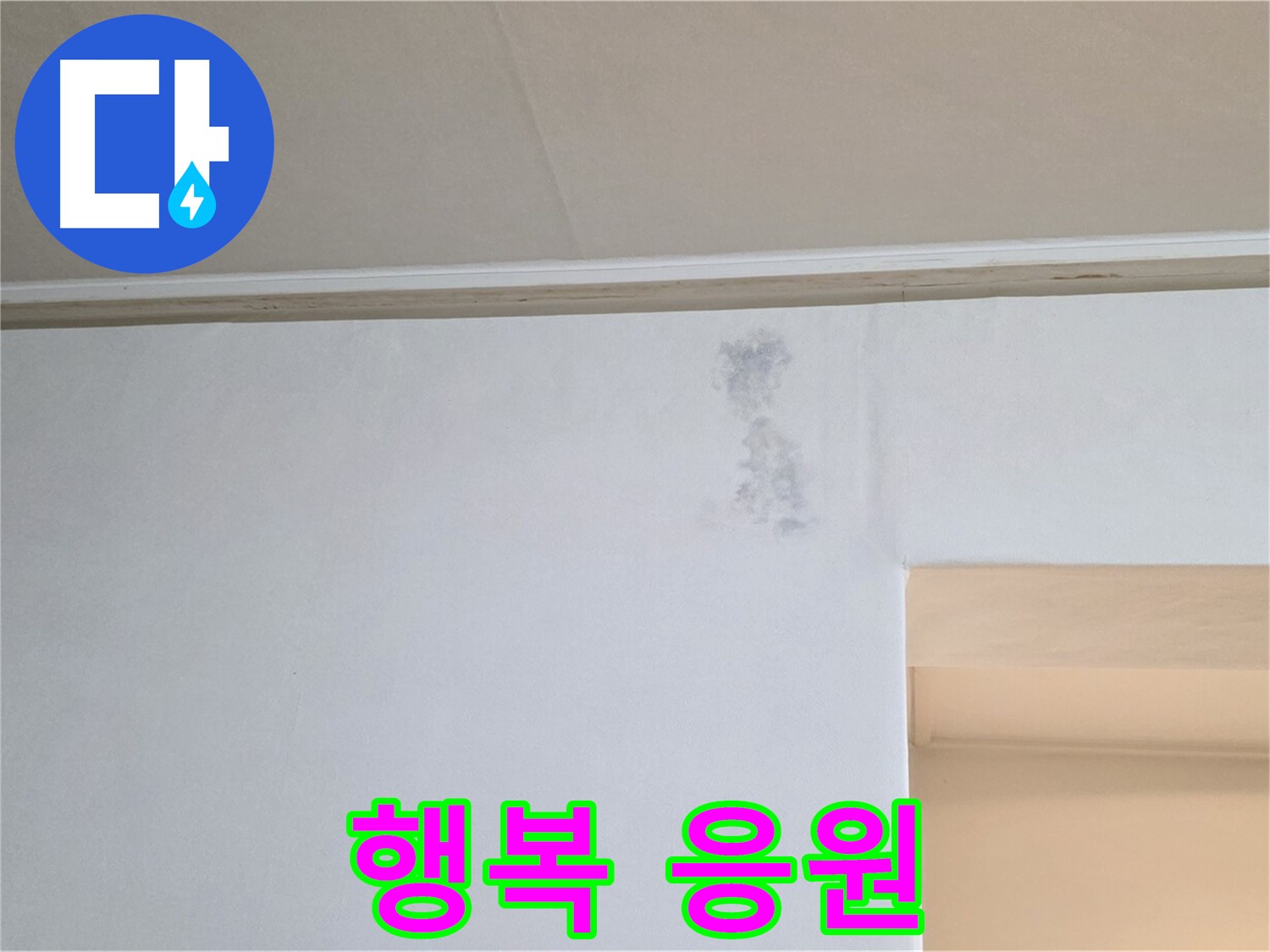 젖은 벽 곰팡이 문제 해결 - 건강과 행복을 응원합니다