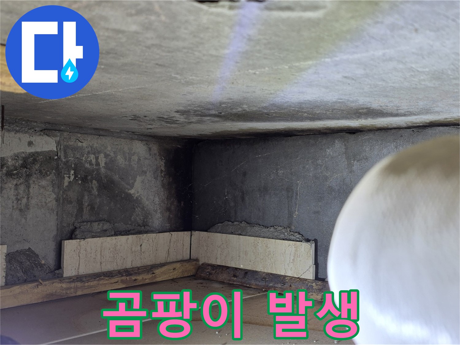포천시 일동면 기산베스트빌 아파트 곰팡이 발생 - 건강을 위협하는 누수, 즉시 해결