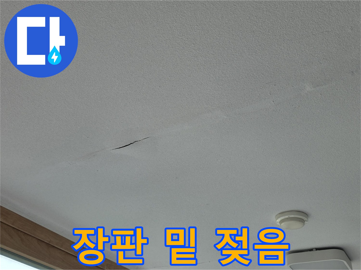 포천시 일동면 아파트 바닥 - 장판 밑 젖은 모습