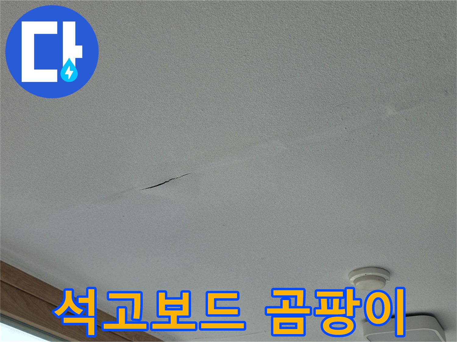 포천시 일동면 아파트 천장 - 곰팡이 핀 석고보드