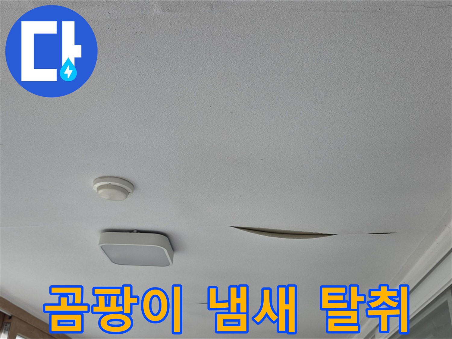 포천시 일동면 아파트 천장 누수 - 석고보드 곰팡이 냄새 완벽 탈취