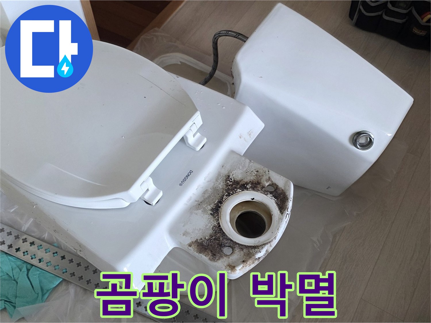 포천시 일동면 운악청계로 1772 - 변기 찌든 때와 곰팡이 박멸 작전 개시!