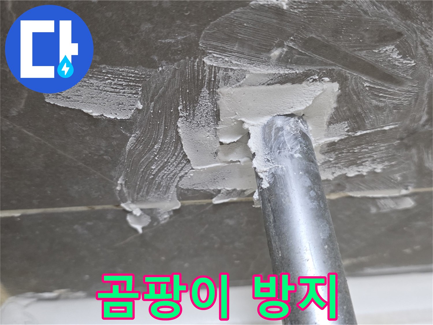 백시멘트 제거 후 곰팡이 방지 - 철저하게