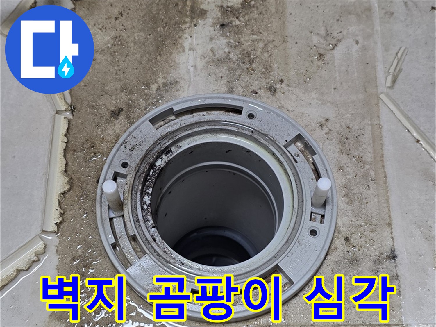 변기 뒤 벽면 - 벽지 곰팡이가 심각하게 발생했습니다.
