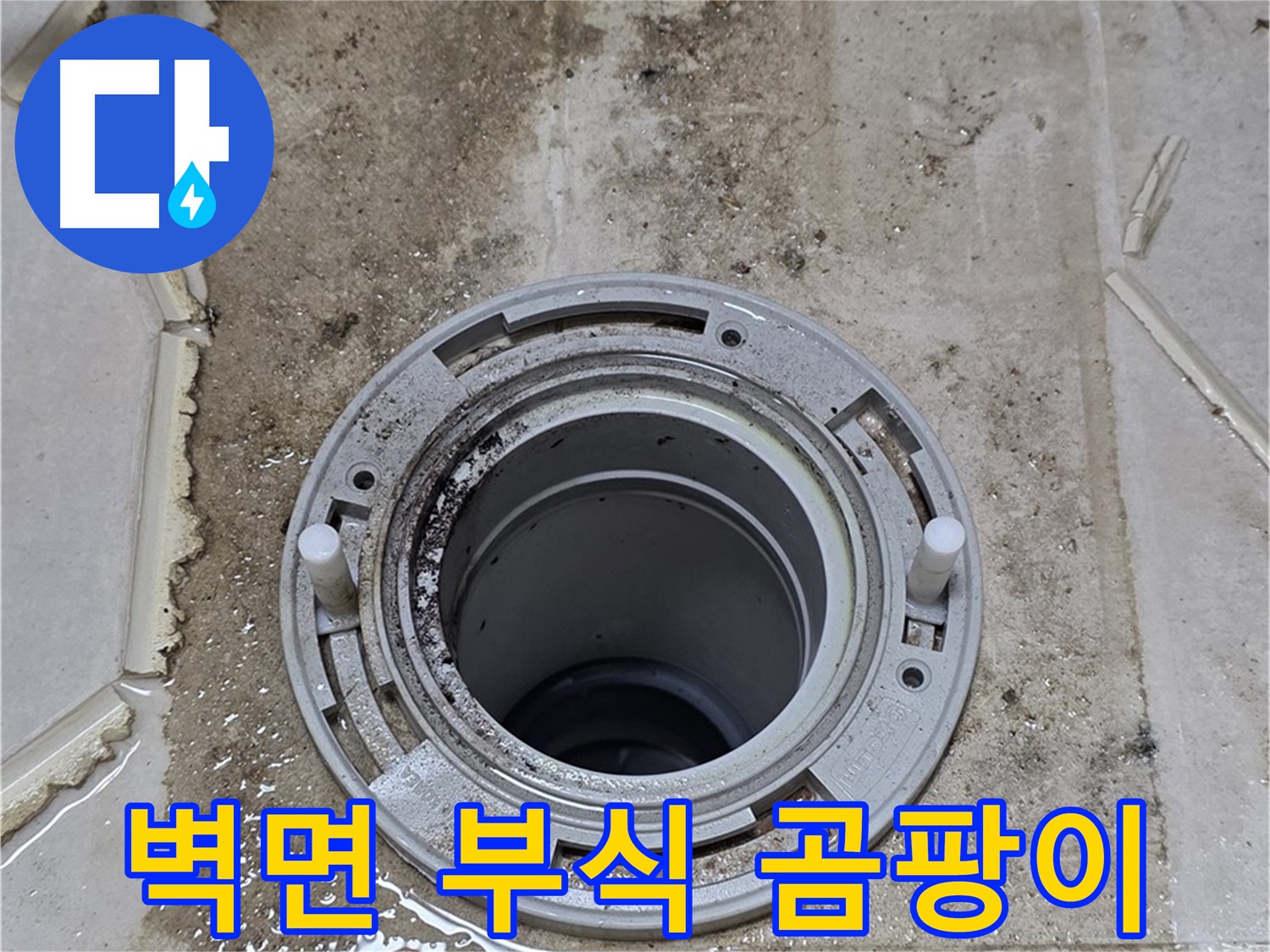 변기 뒤 벽면 - 부식과 곰팡이 확산이 심각하게 진행 중입니다.