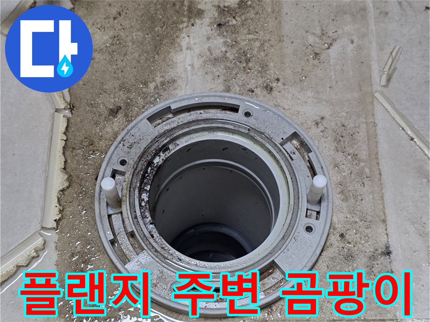 변기 플랜지 주변 누수 흔적 - 곰팡이 발생으로 누수 심각성을 알 수 있습니다.