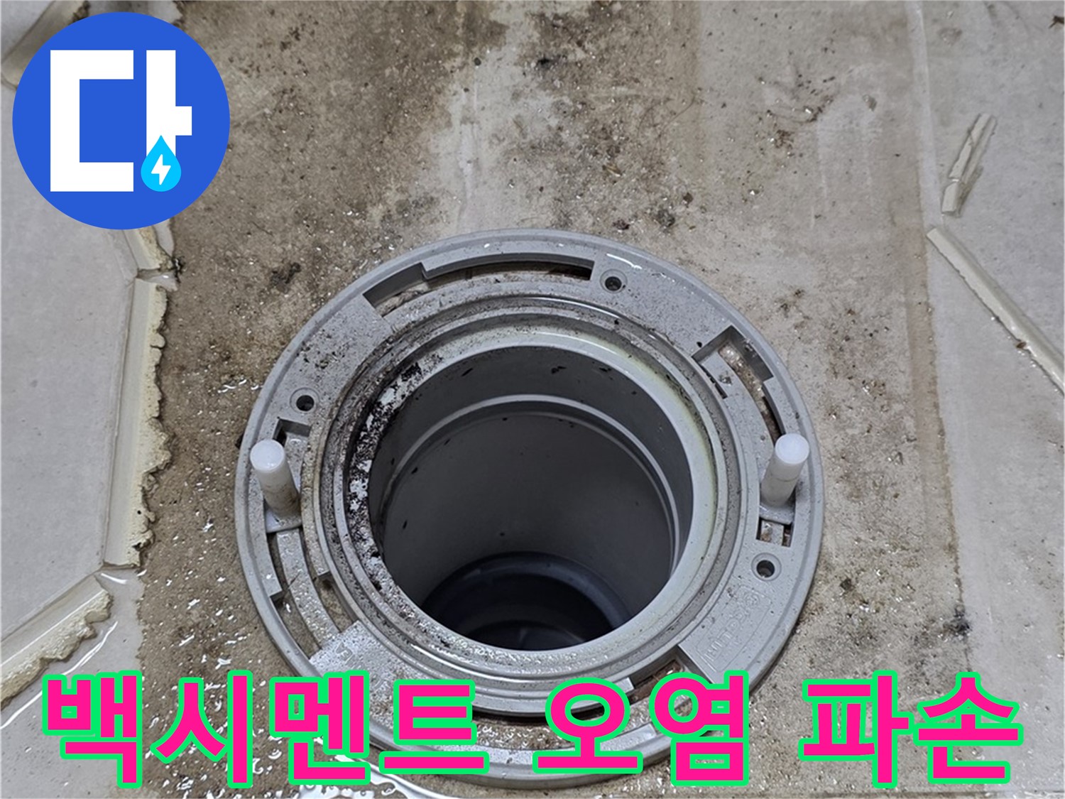 변기 플랜지 주변 백시멘트 - 오염과 함께 파손이 진행 중입니다.