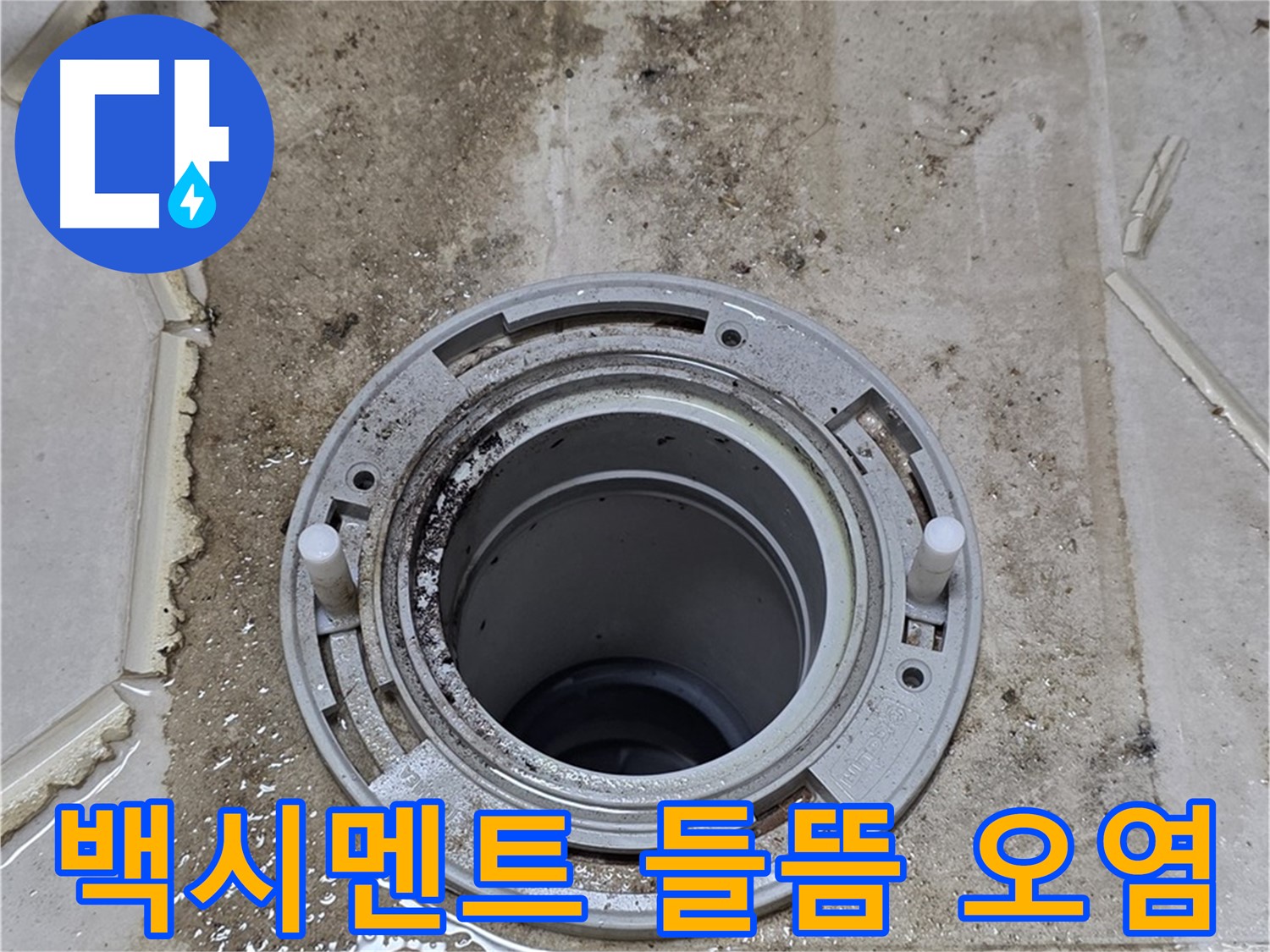 변기 하부 백시멘트 들뜸 및 오염 - 백시멘트가 들뜨고 오염되어 누수가 발생하고 있습니다.