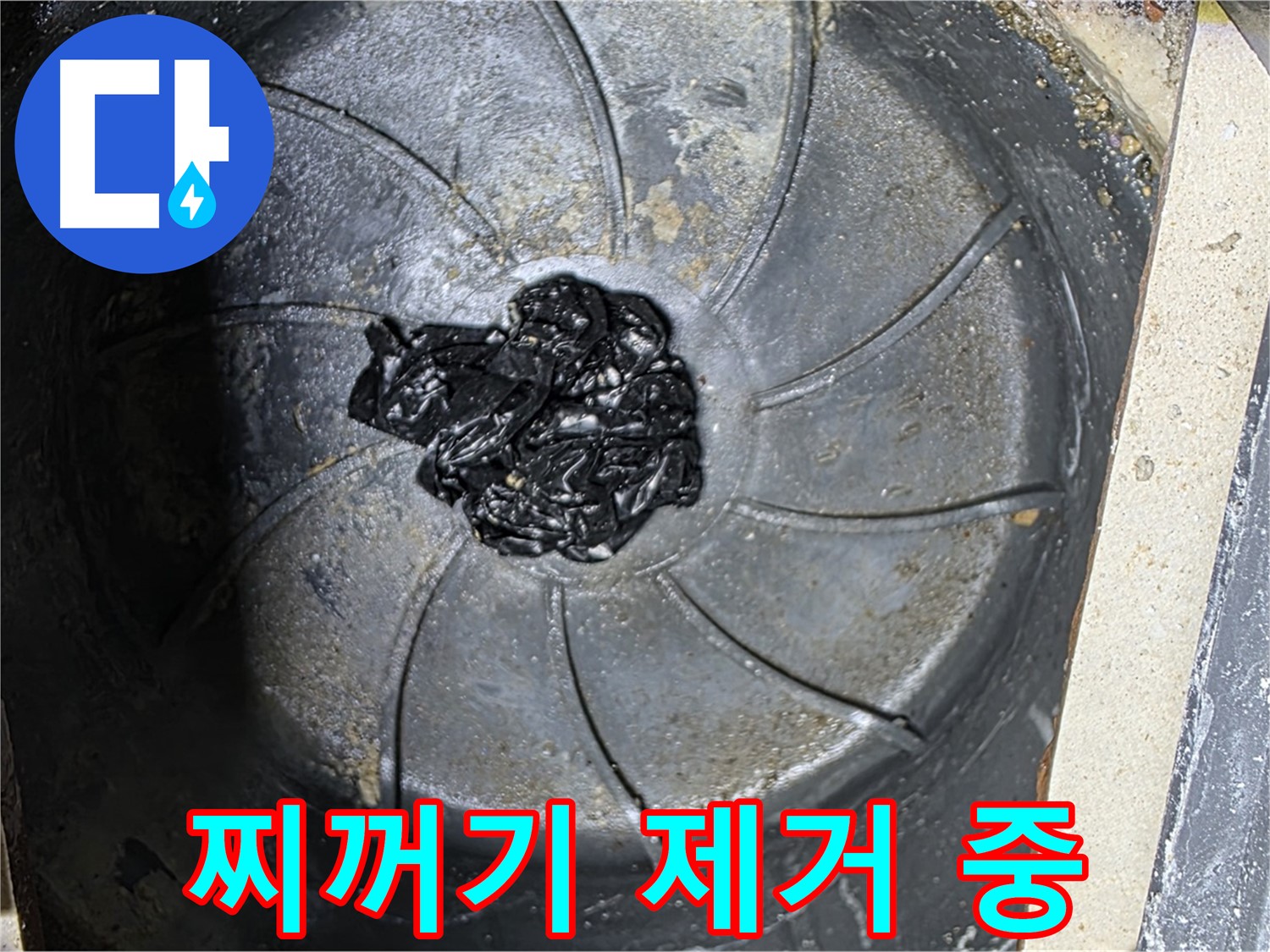 세탁기 배수구 - 검은 찌꺼기 덩어리 제거 작전 개시!