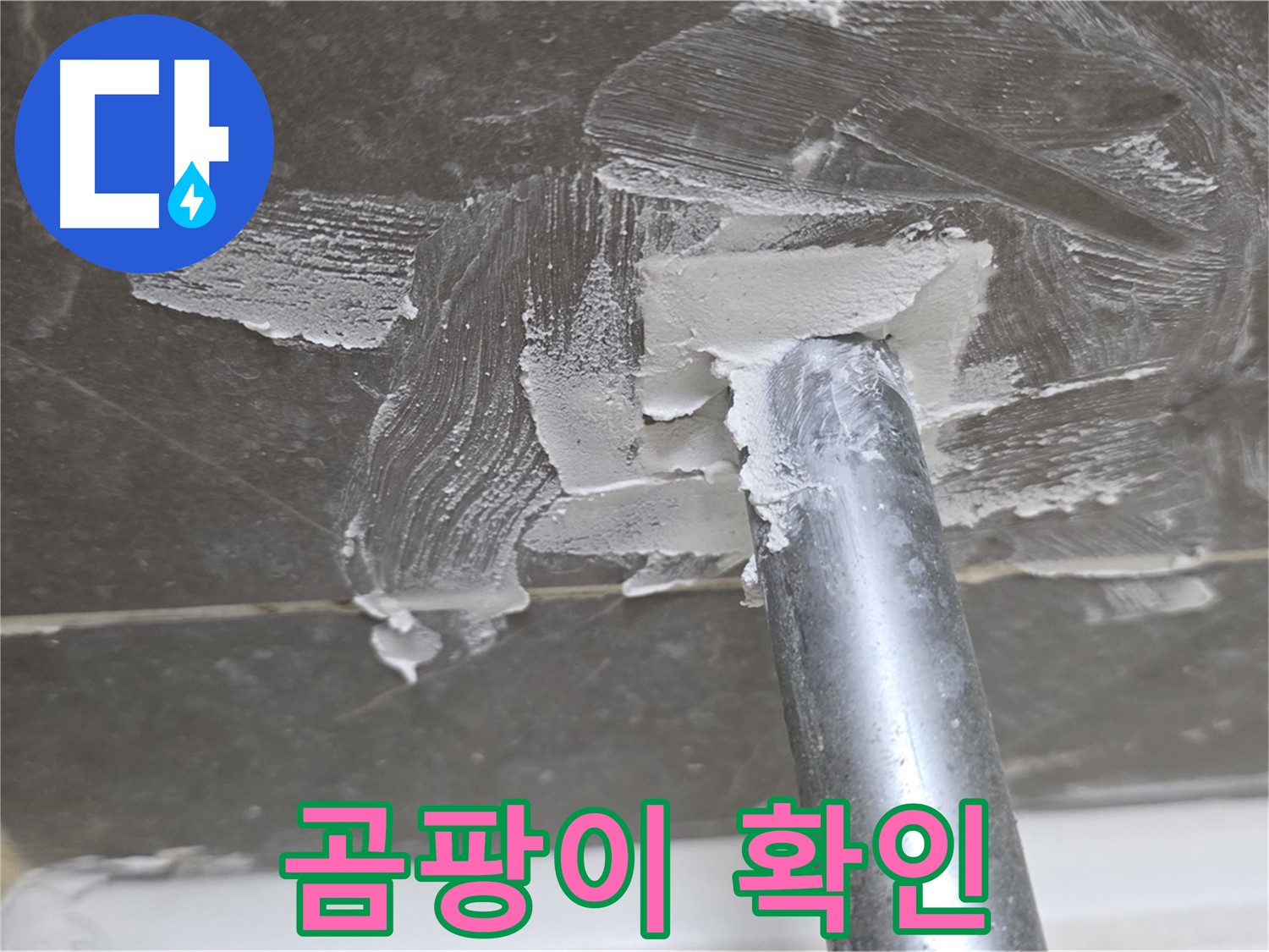 실리콘 제거 후 곰팡이 발견 - 철저한 제거