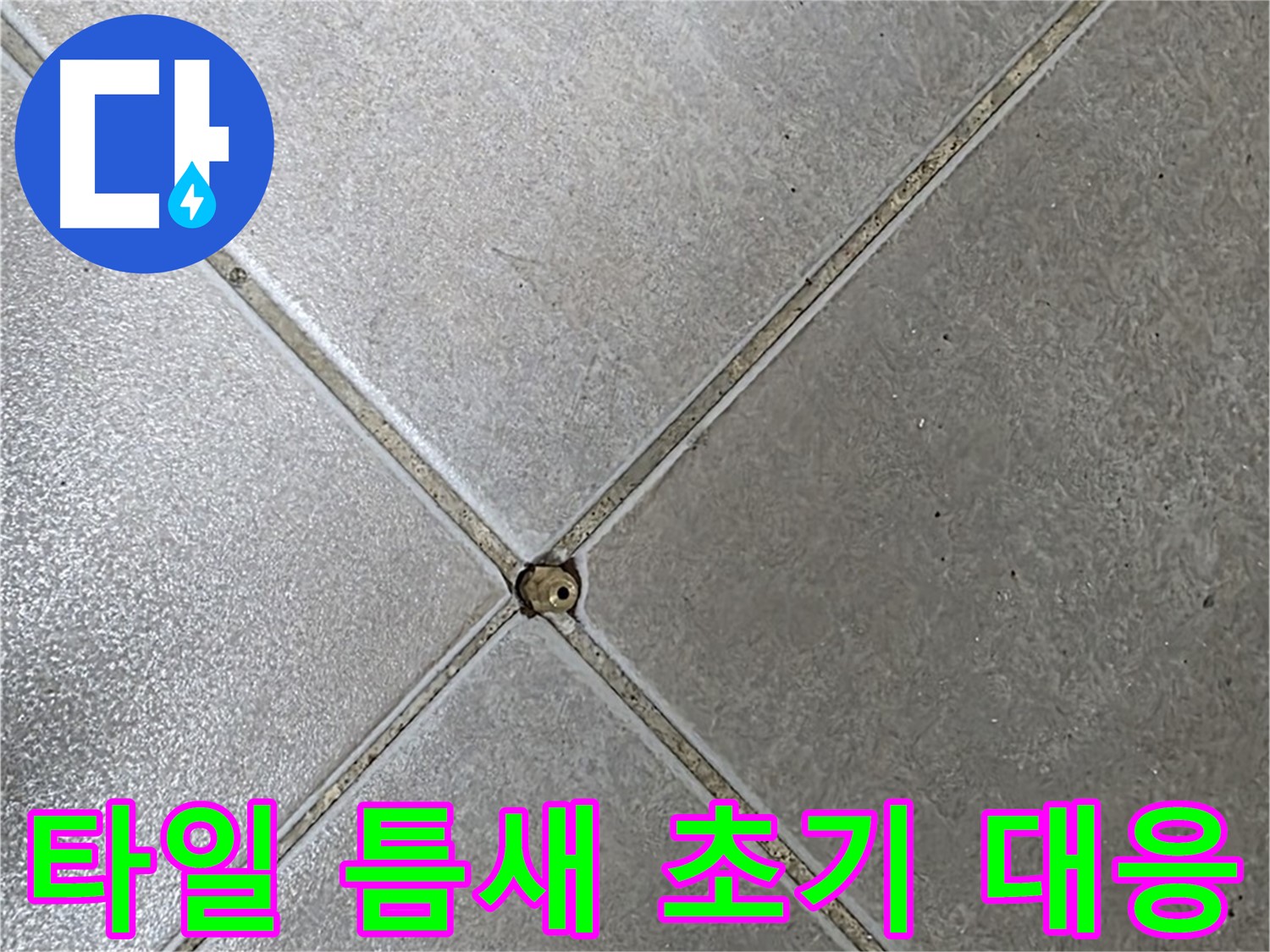 양주 옥정 율정마을 13단지 아파트 타일 틈새 - 누수 초기 대응 과정입니다.