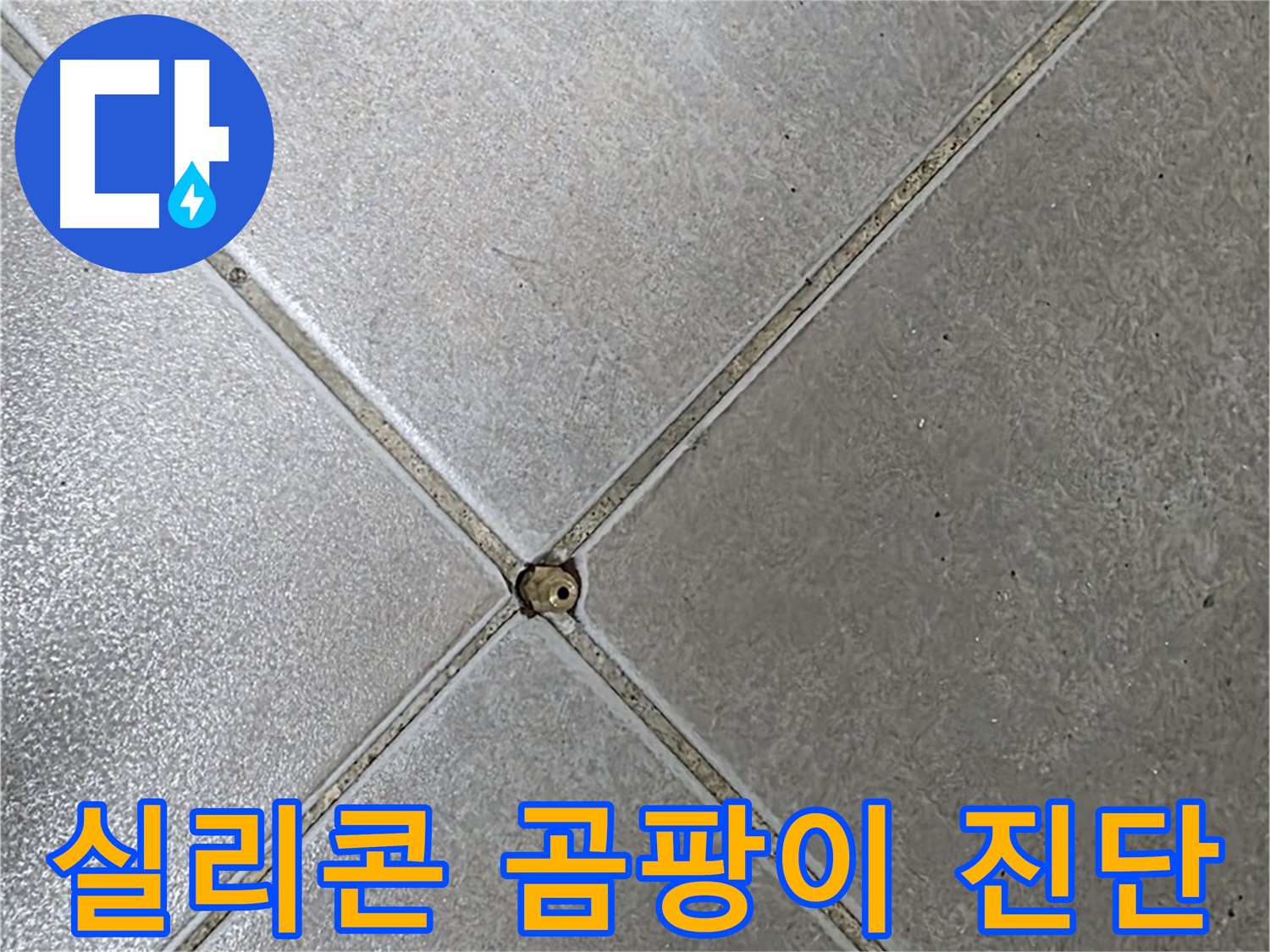 양주 옥정 율정마을 13단지 아파트 타일 틈새 실리콘 곰팡이 - 누수 가능성 진단 중입니다.