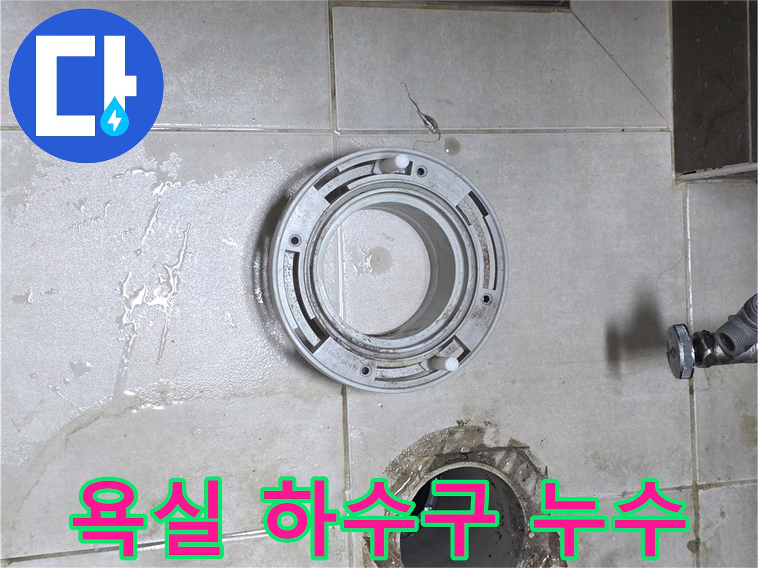 양주 옥정 율정마을 아파트 욕실 하수구 누수 - 누수 차단 전문가의 완벽 시공