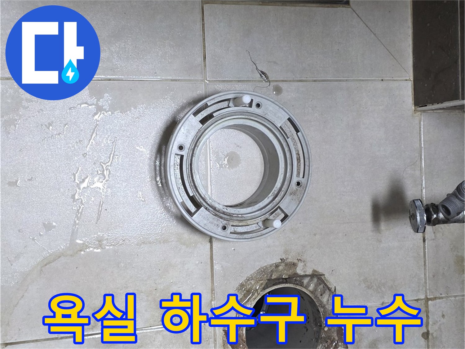 양주 옥정 율정마을 아파트 욕실 하수구 누수 - 누수탐지 전문가의 꼼꼼한 시공