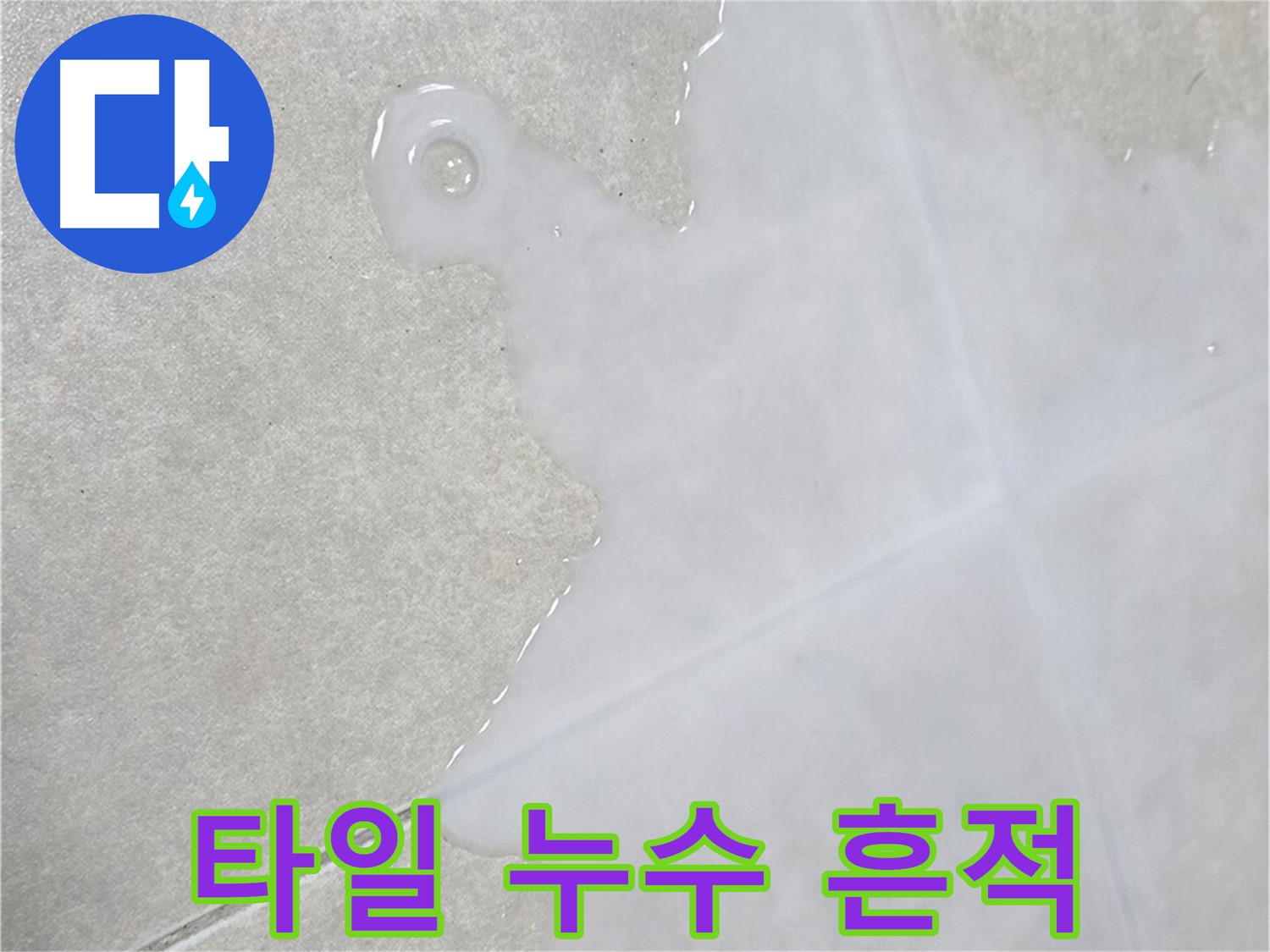 양주 옥정 율정마을 아파트 타일 누수 흔적 - 전문 장비로 정확한 누수 지점 탐지