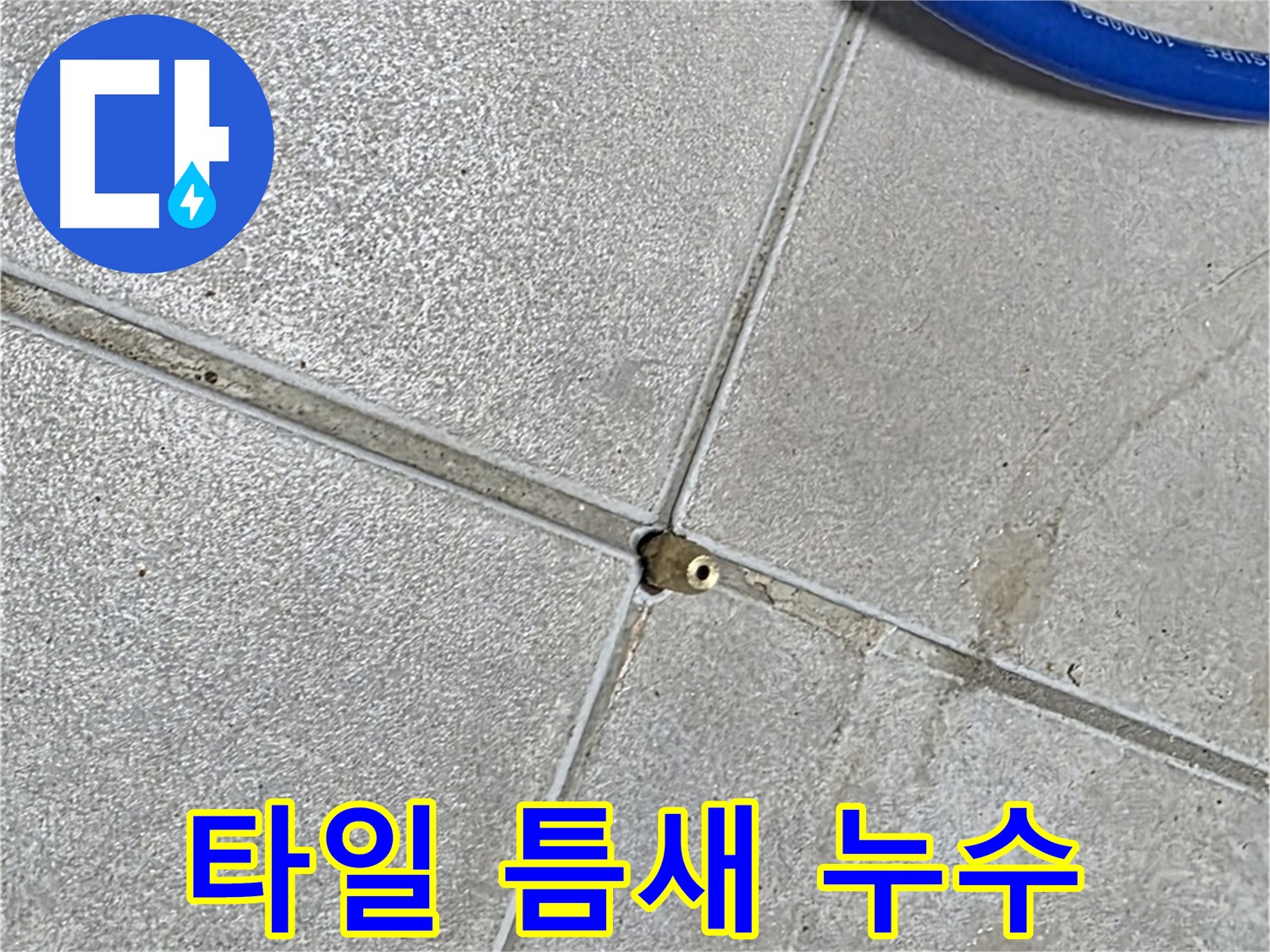 양주 옥정 율정마을 아파트 타일 틈새 누수 - 누수 탐지 전문 업체에서 신속하게 해결해 드립니다.