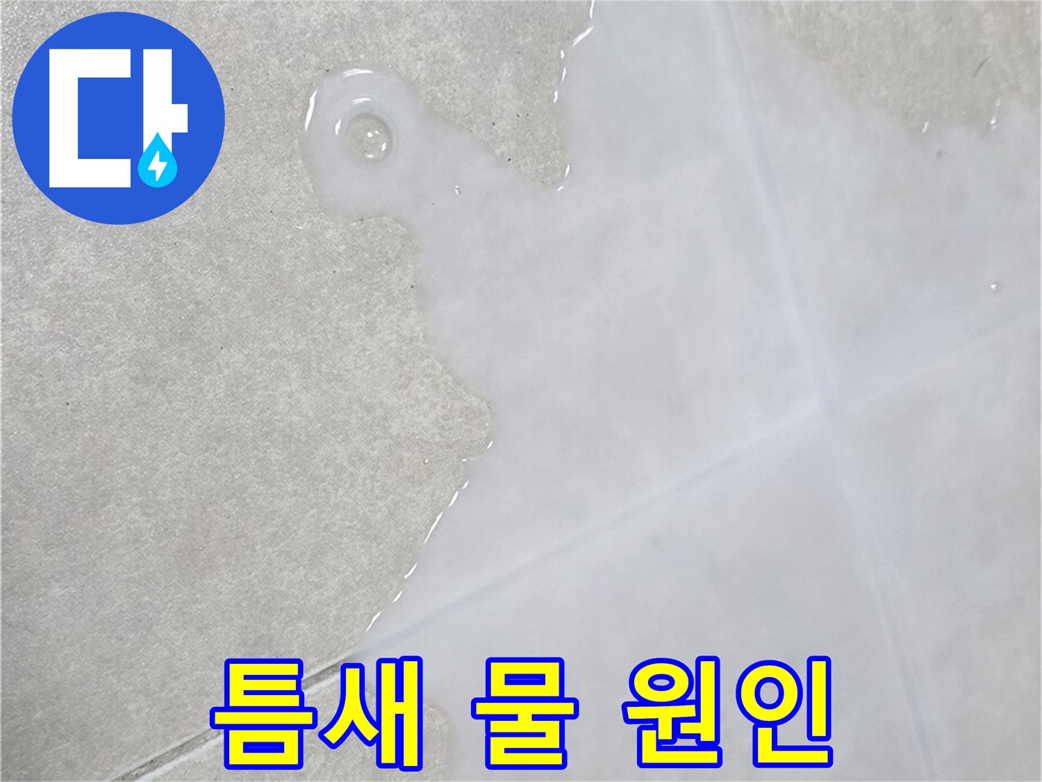 양주 옥정 율정마을 아파트 타일 틈새 물 - 원인 해결 전문