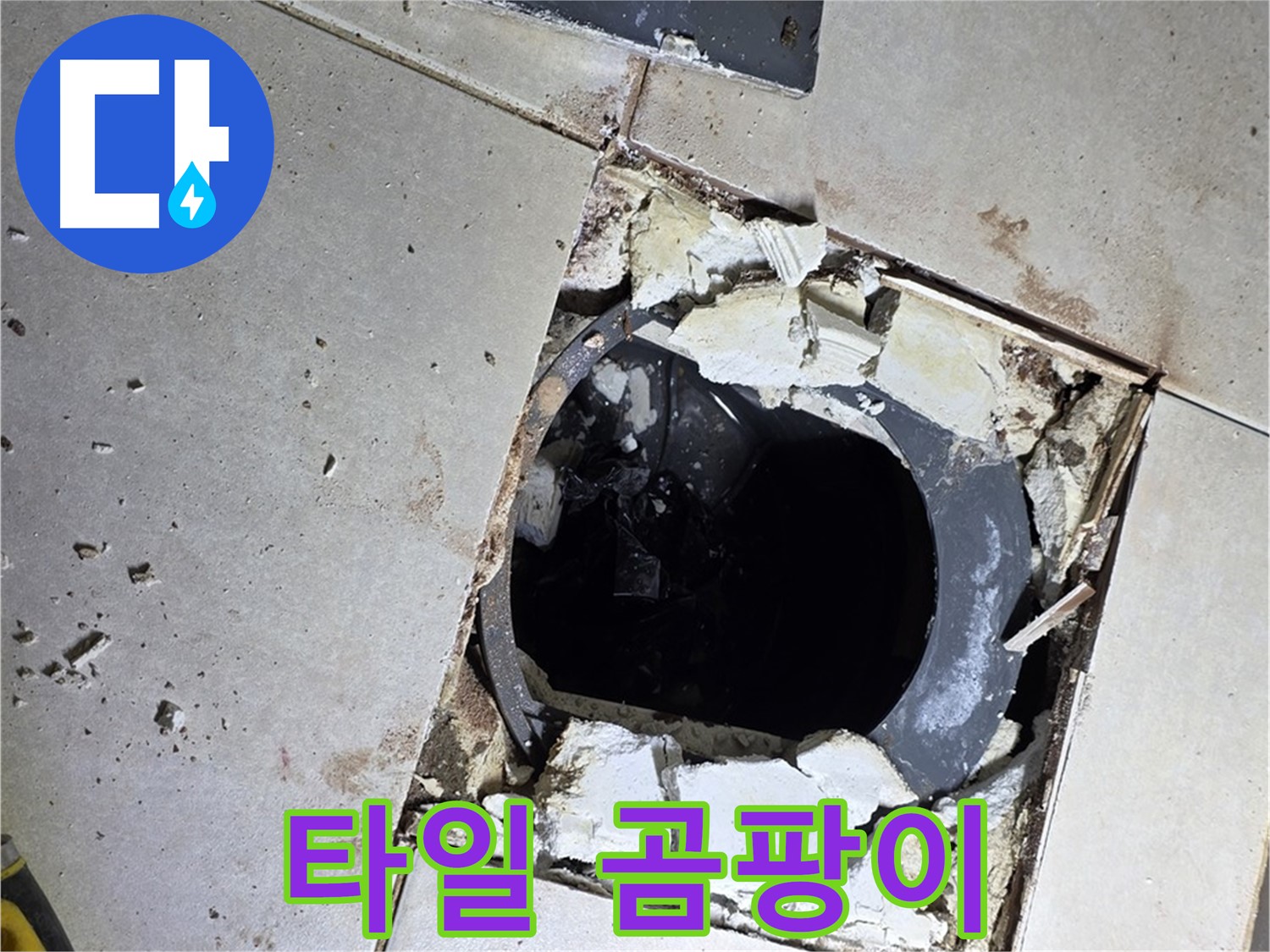 양주 옥정동 욕실 누수 - 율정마을13단지 배수구 주변 깨진 타일 조각과 곰팡이의 콜라보