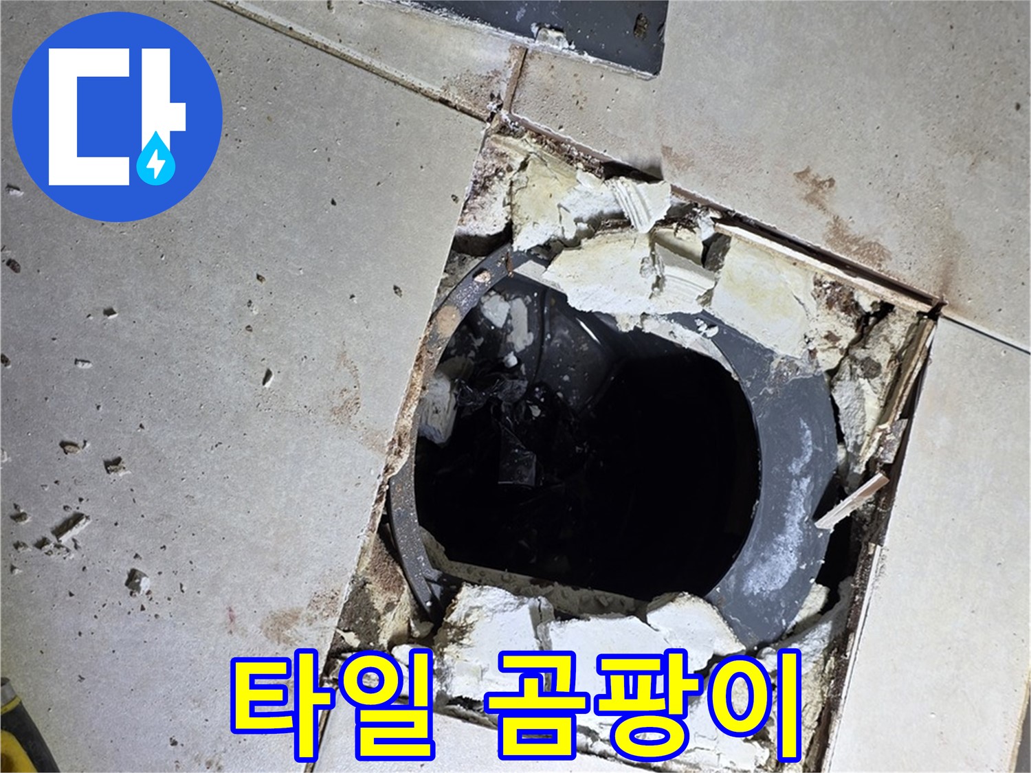 양주 옥정동 욕실 누수 - 율정마을13단지 배수구 주변 깨진 타일 파편과 곰팡이의 콜라보