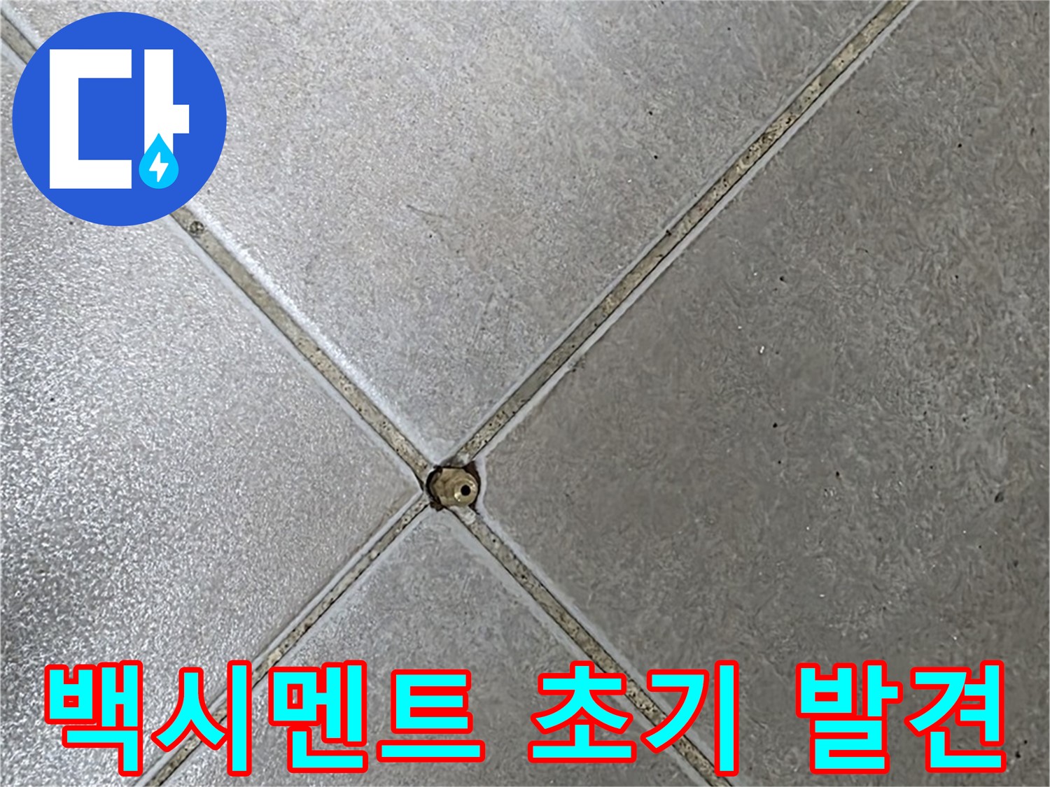 양주 옥정동 율정마을 13단지 아파트 타일 틈새 백시멘트 - 초기 발견 사진입니다.